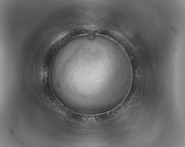 X0000111881302200907231526