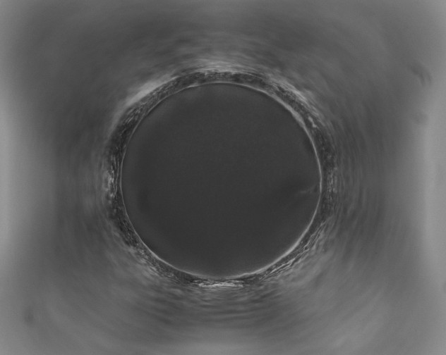 X0000111881303200907231526