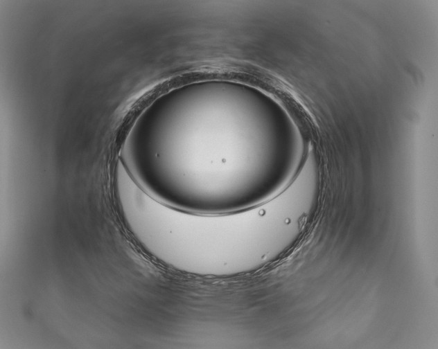 X0000111881304200907231526