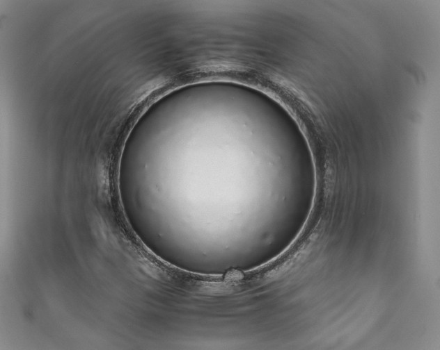 X0000111881305200907231526