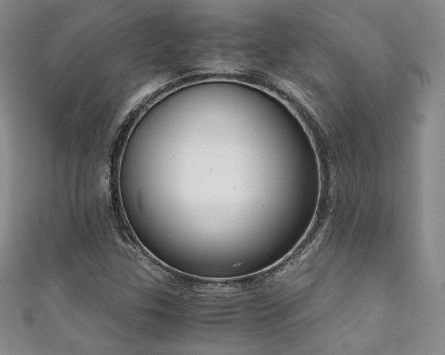 X0000111881307200907231527