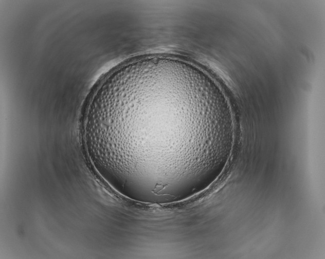 X0000111881308200907231527