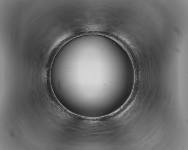 X0000111881309200907231527