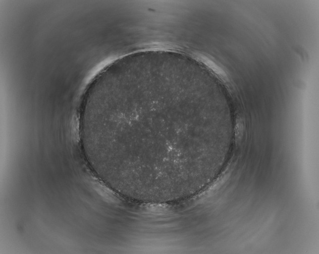 X0000111881310200907231527