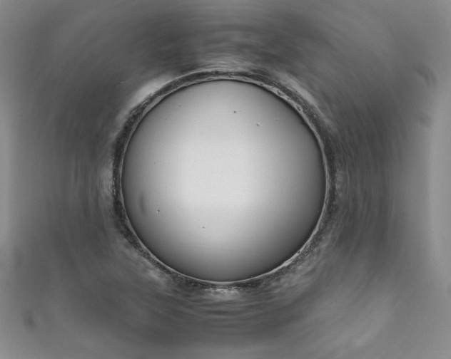 X0000111881315200907231527