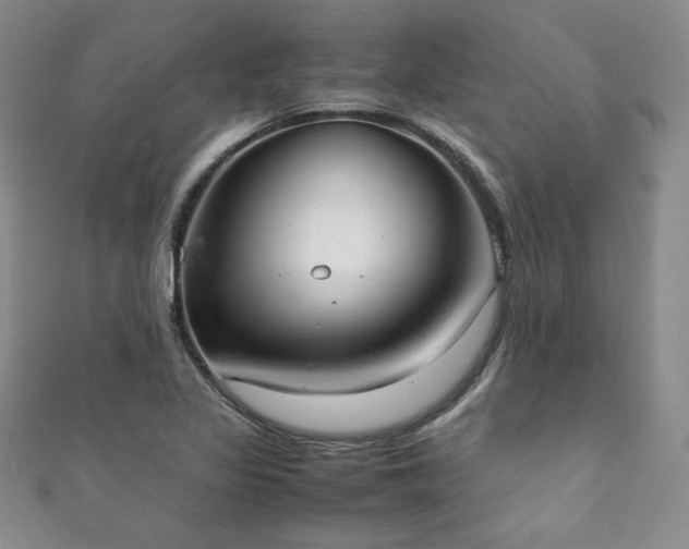 X0000111881317200907231527