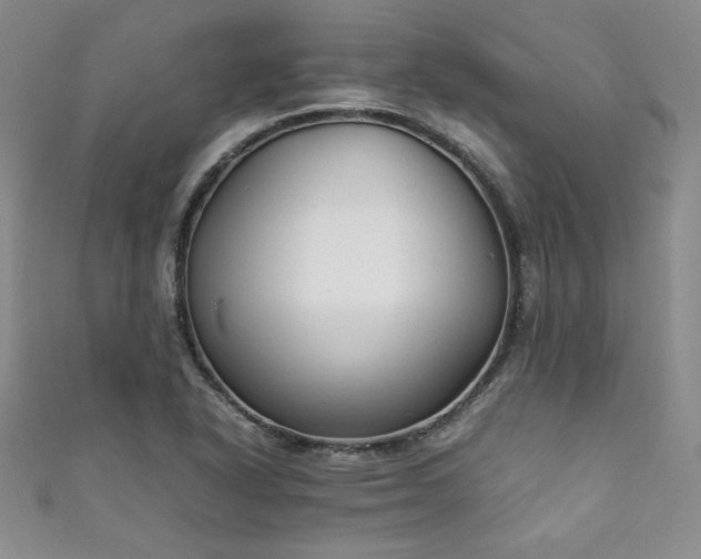 X0000111881318200907231527