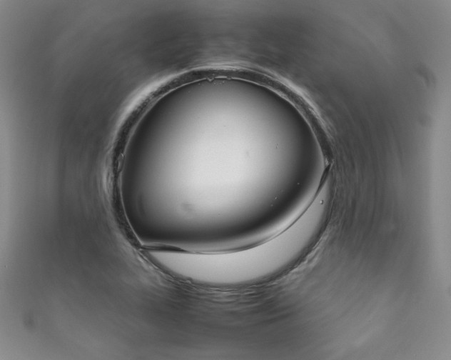 X0000111881319200907231527