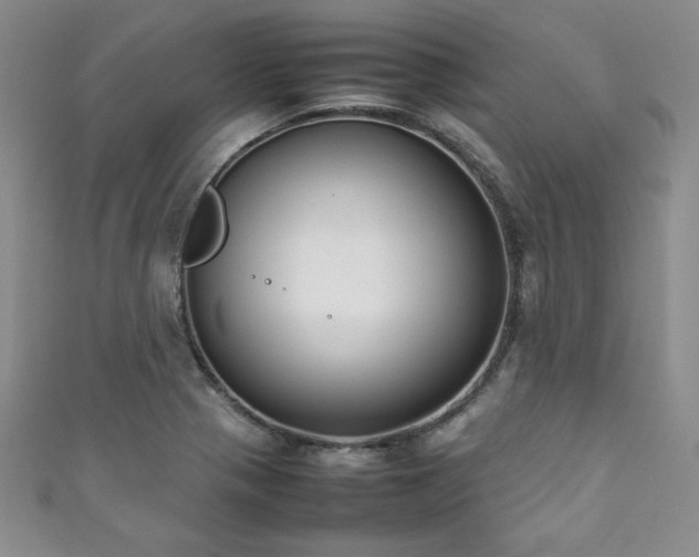 X0000111881321200907231527
