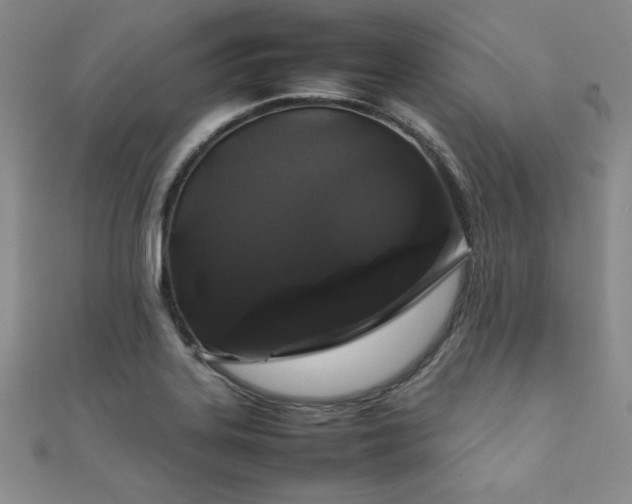X0000111881323200907231527