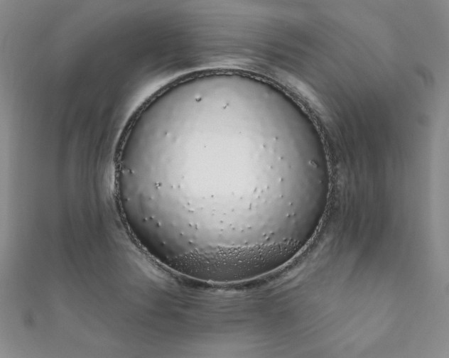 X0000111881324200907231527