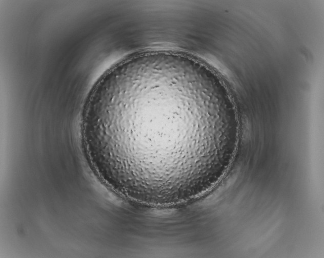 X0000111881325200907231527