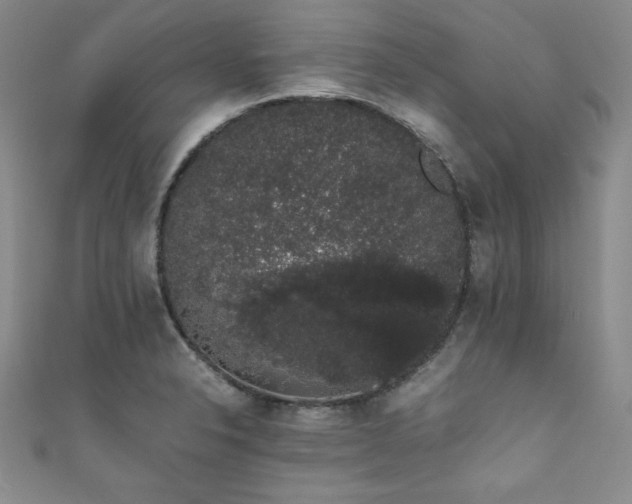 X0000111881326200907231527