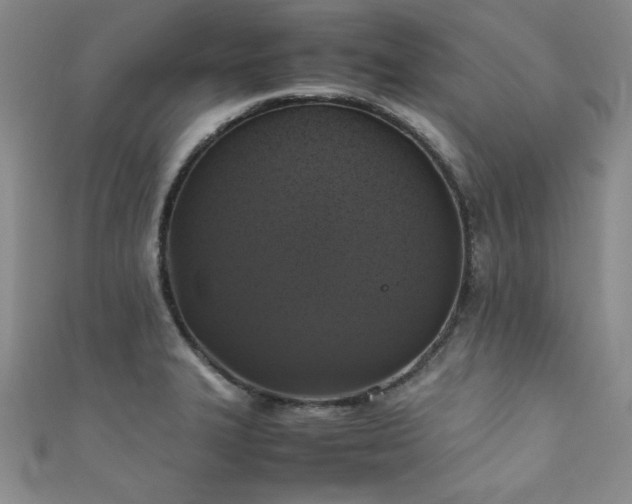 X0000111881327200907231527