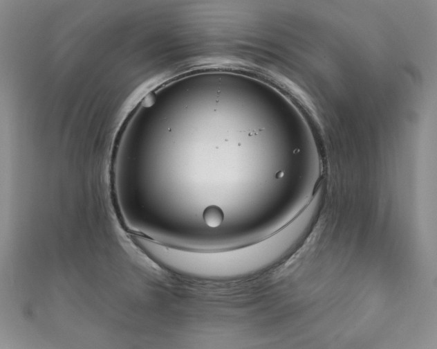 X0000111881330200907231527