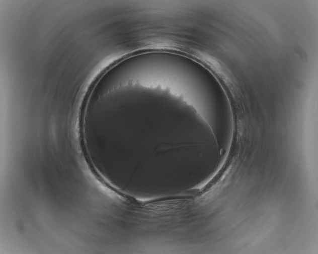 X0000111881331200907231527