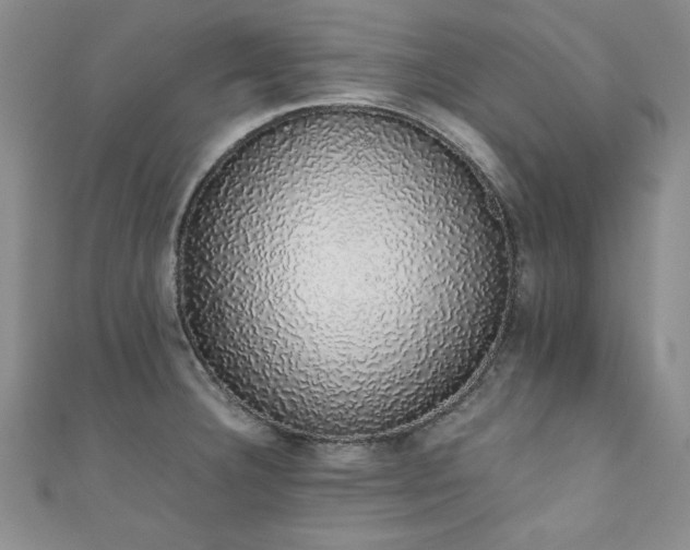 X0000111881332200907231527
