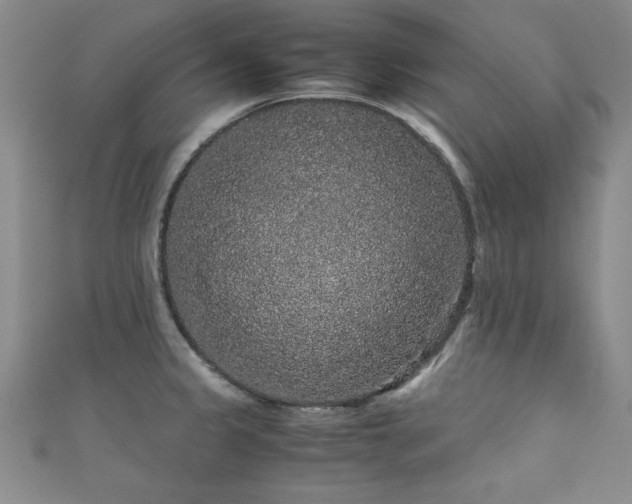 X0000111881333200907231527