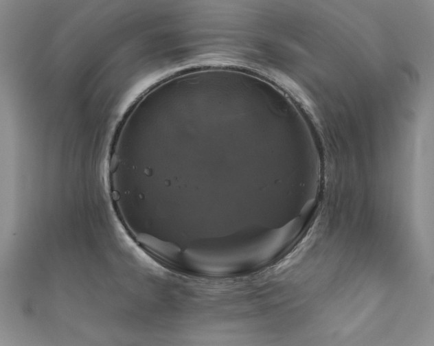 X0000111881334200907231527