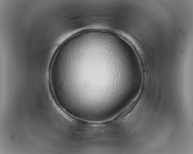 X0000111881335200907231527