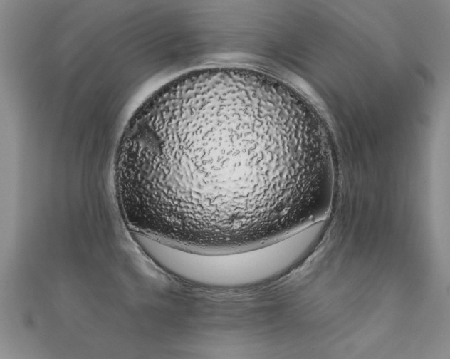 X0000111881336200907231527