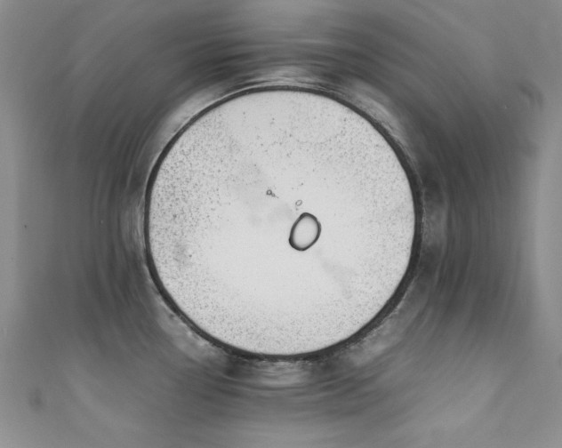 X0000111881338200907231527