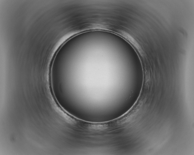 X0000111881339200907231527