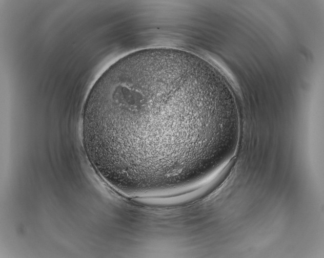X0000111881340200907231527
