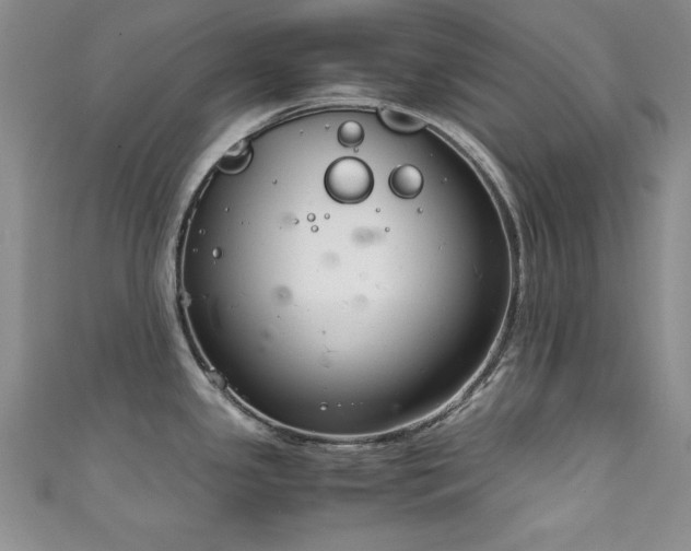X0000111881341200907231527