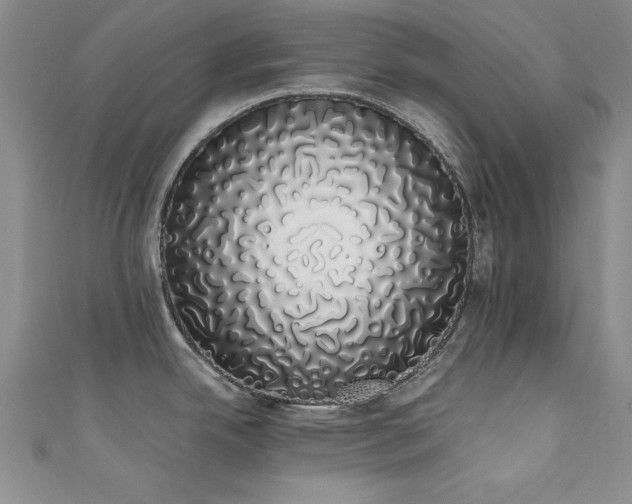 X0000111881342200907231527