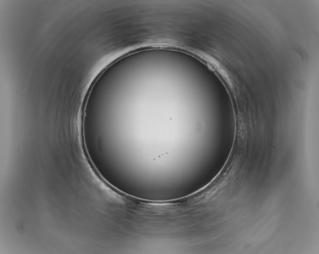X0000111881343200907231527