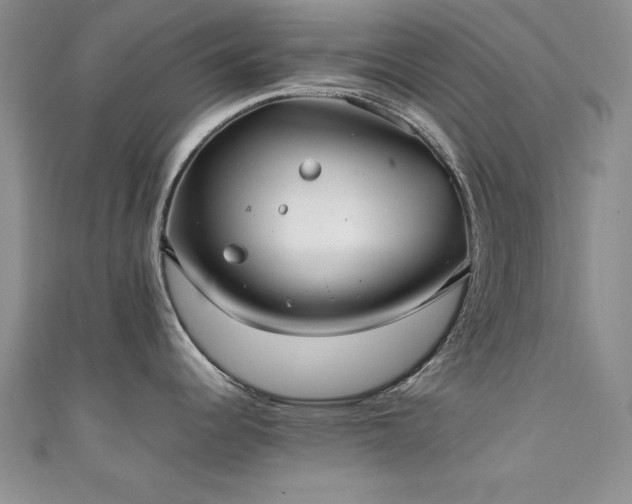X0000111881344200907231527