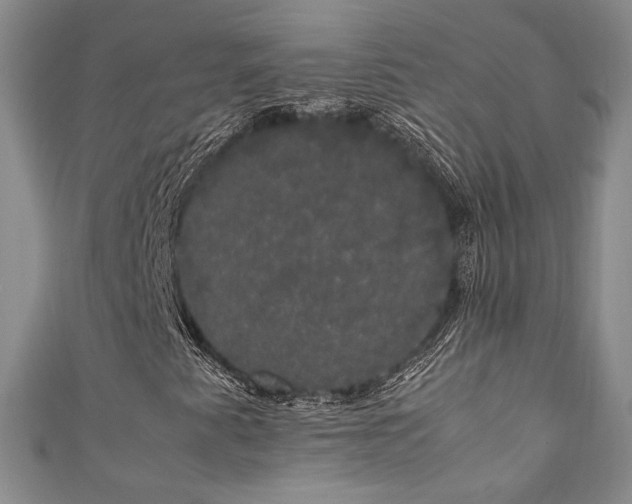 X0000111881345200907231526