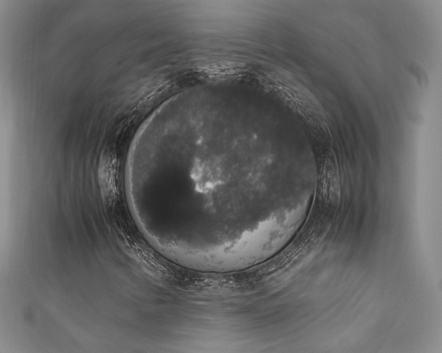 X0000111881346200907231526