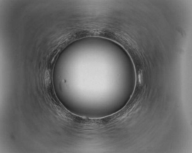 X0000111881347200907231526