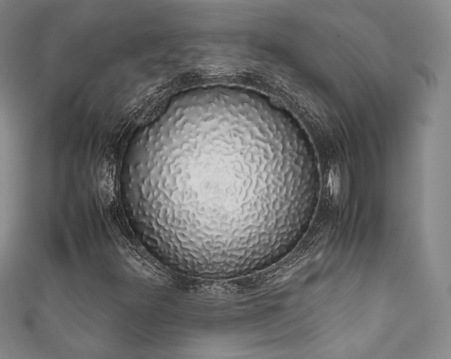 X0000111881348200907231526