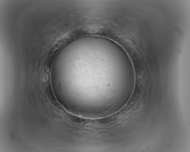 X0000111881349200907231526