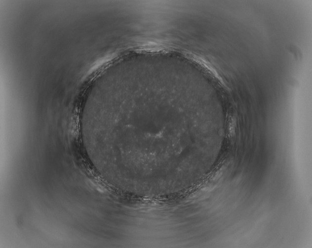 X0000111881350200907231526