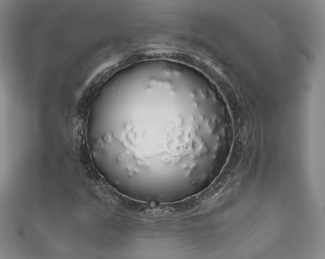 X0000111881351200907231526