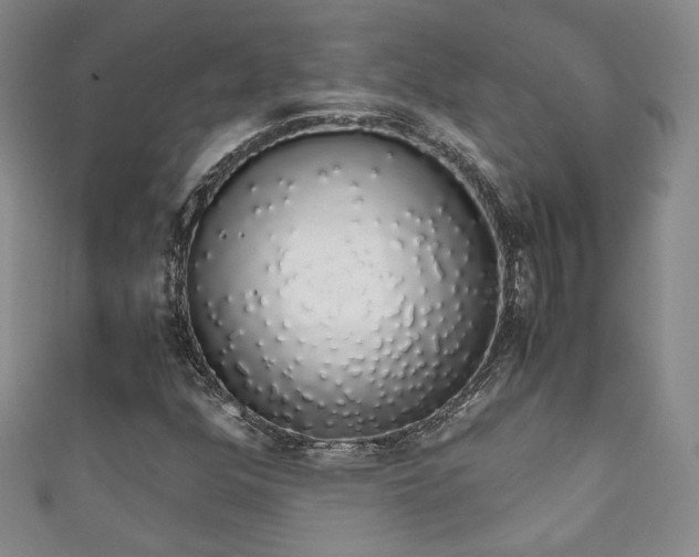 X0000111881352200907231526
