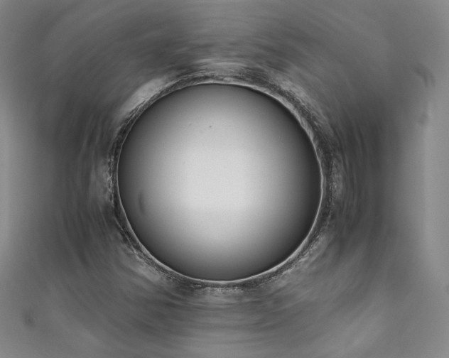 X0000111881354200907231526
