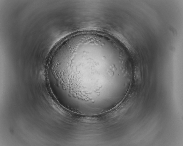 X0000111881356200907231526