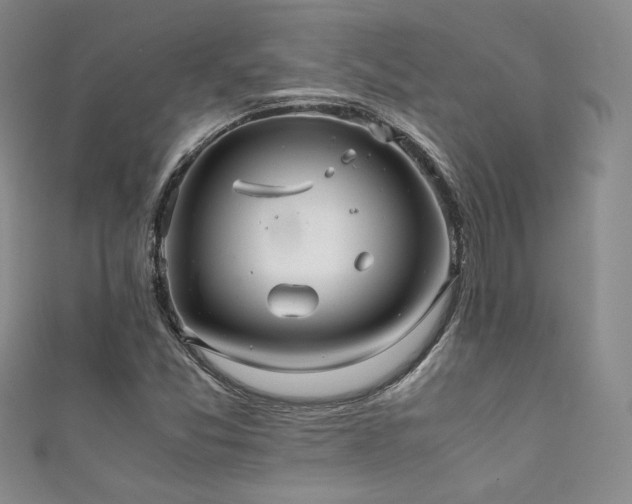 X0000111881357200907231526