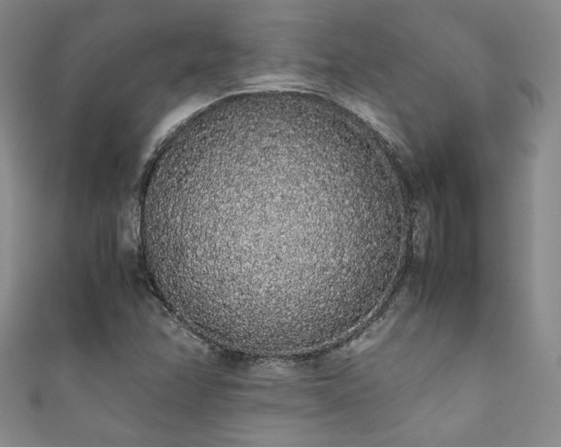 X0000111881358200907231526