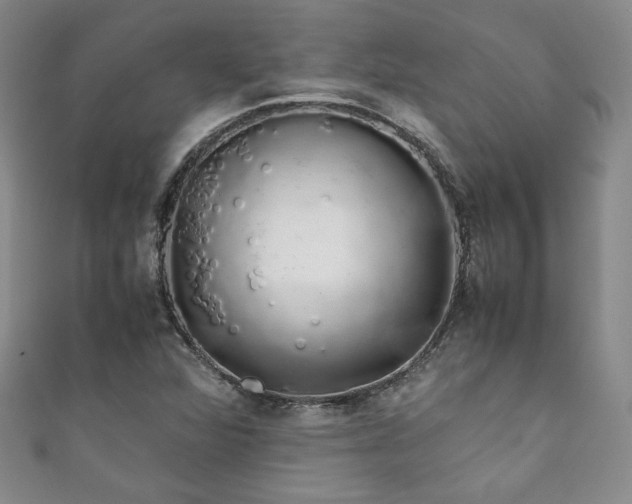 X0000111881360200907231526