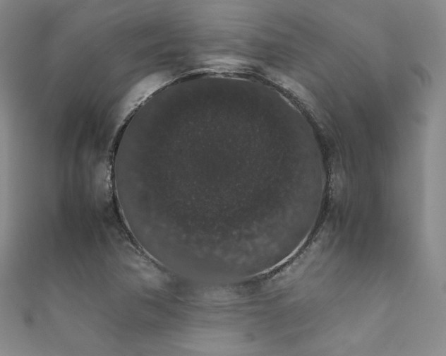 X0000111881362200907231526