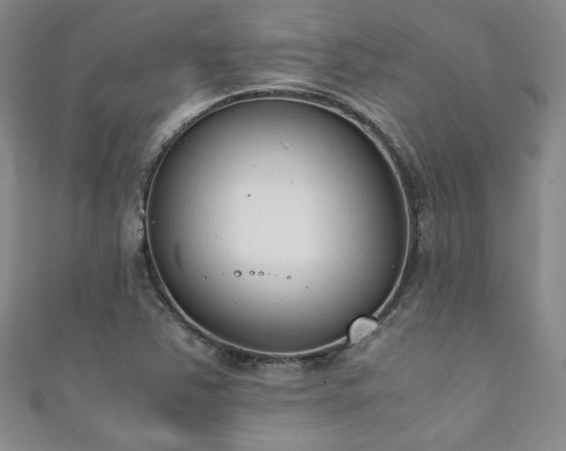 X0000111881363200907231526