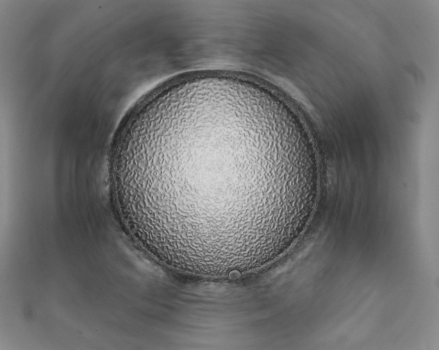 X0000111881364200907231526