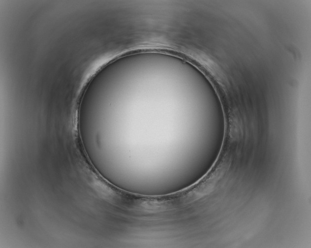 X0000111881366200907231526