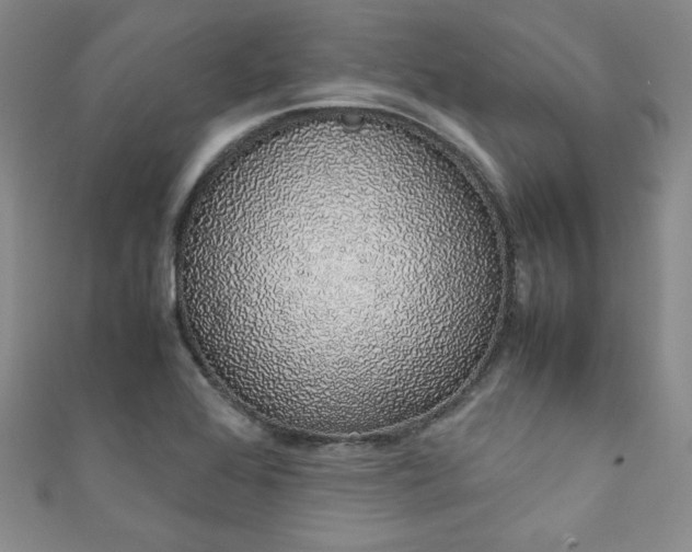X0000111881368200907231526